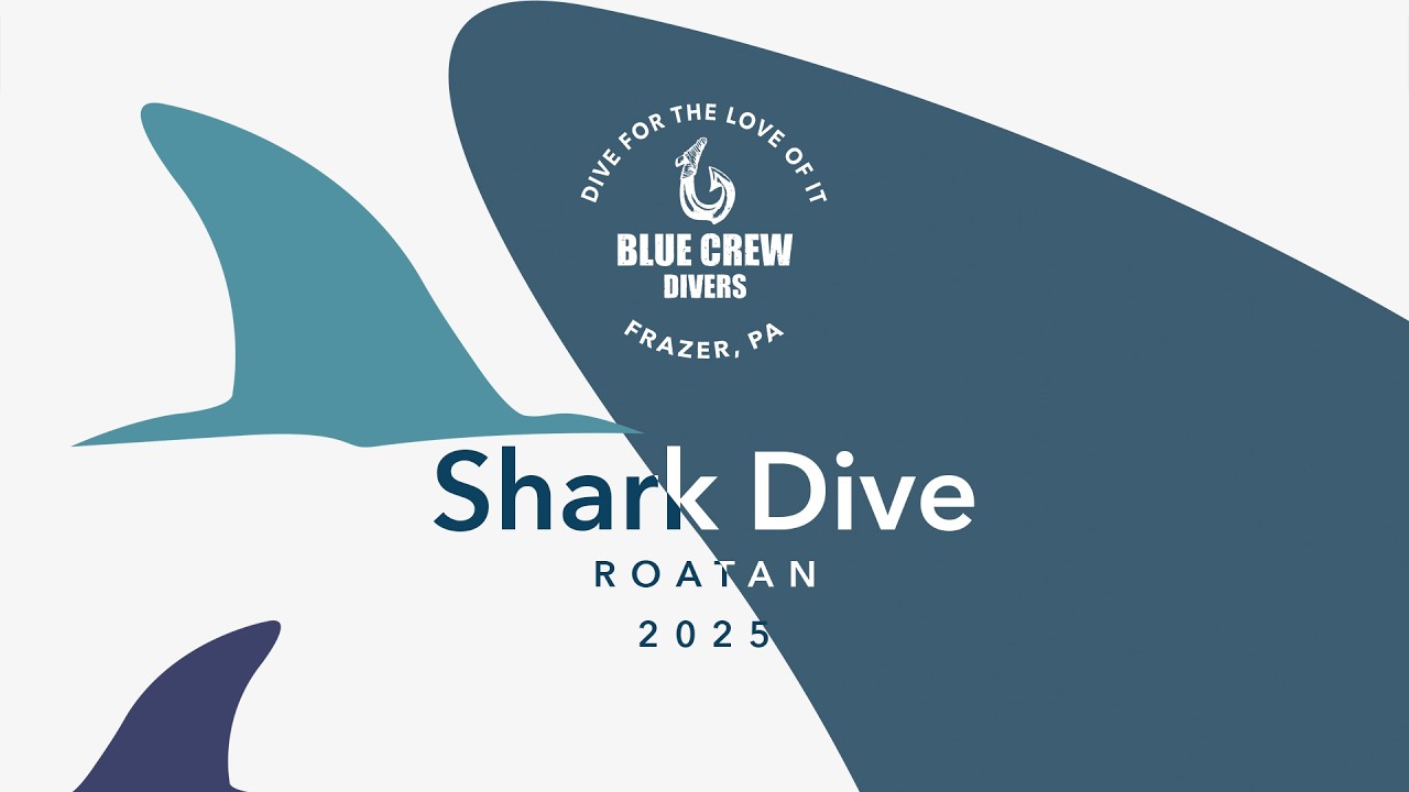 Blue Crew Divers — Roatan — Shark Dive — 2025
