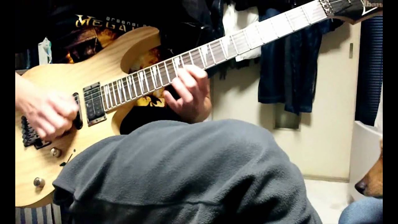 Gorod - Hidden Genocide (guitar cover)