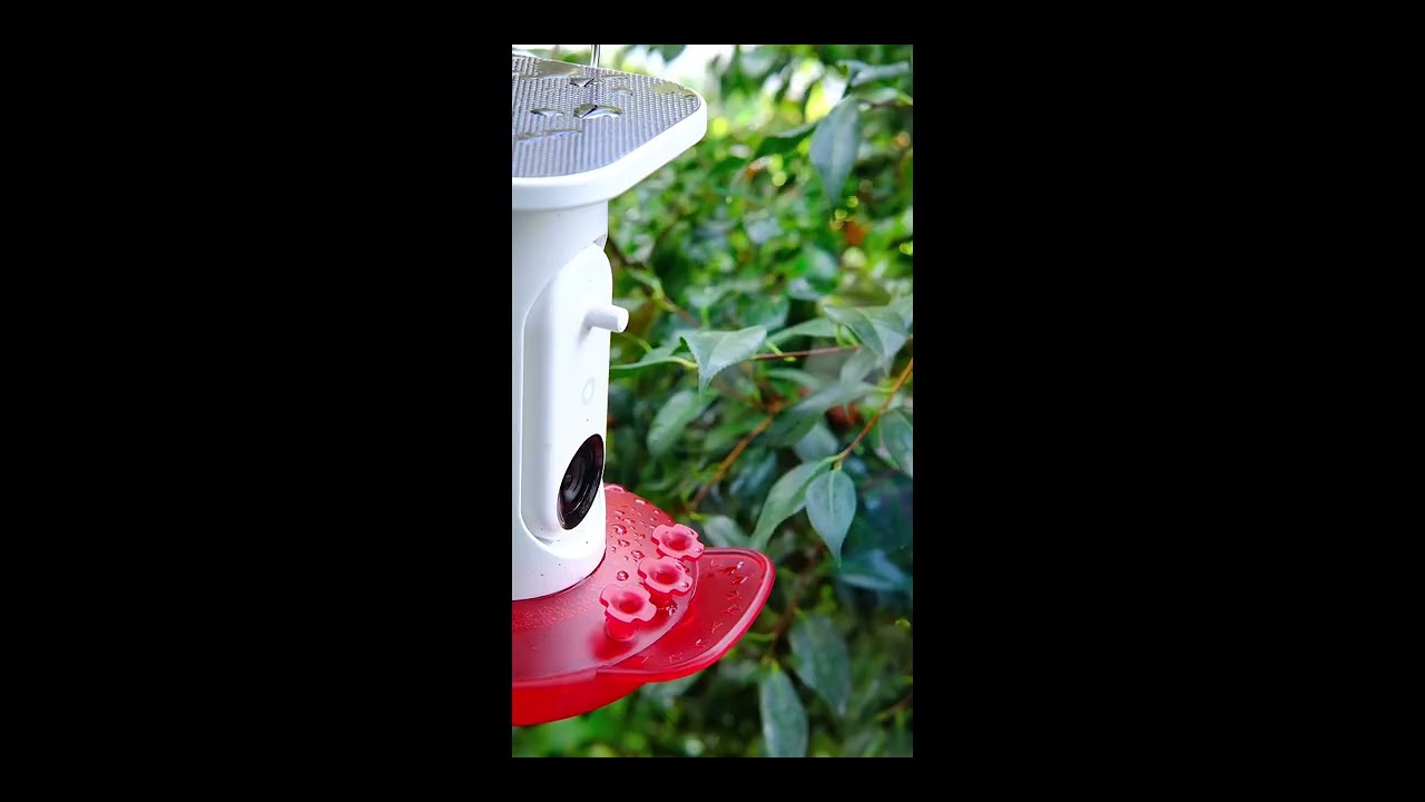 Lofi Hummingbird Feeder