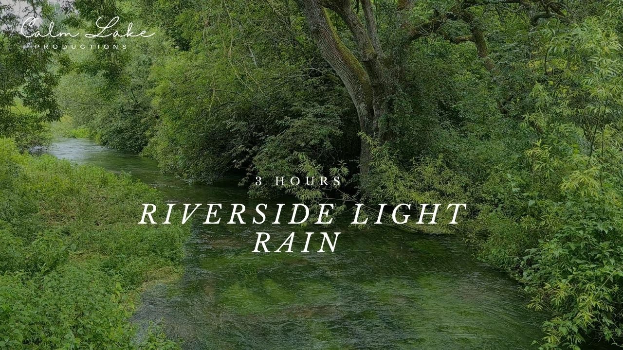 3 Hours Light Summer Rain on River | Relax, Sleep, Relieve Stress, Calming Bird Sounds