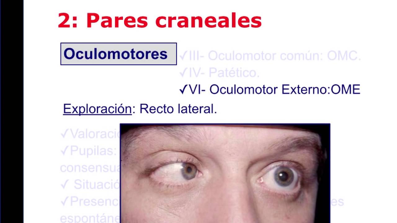 EXAMEN NEUROLOGICO SIMPLE