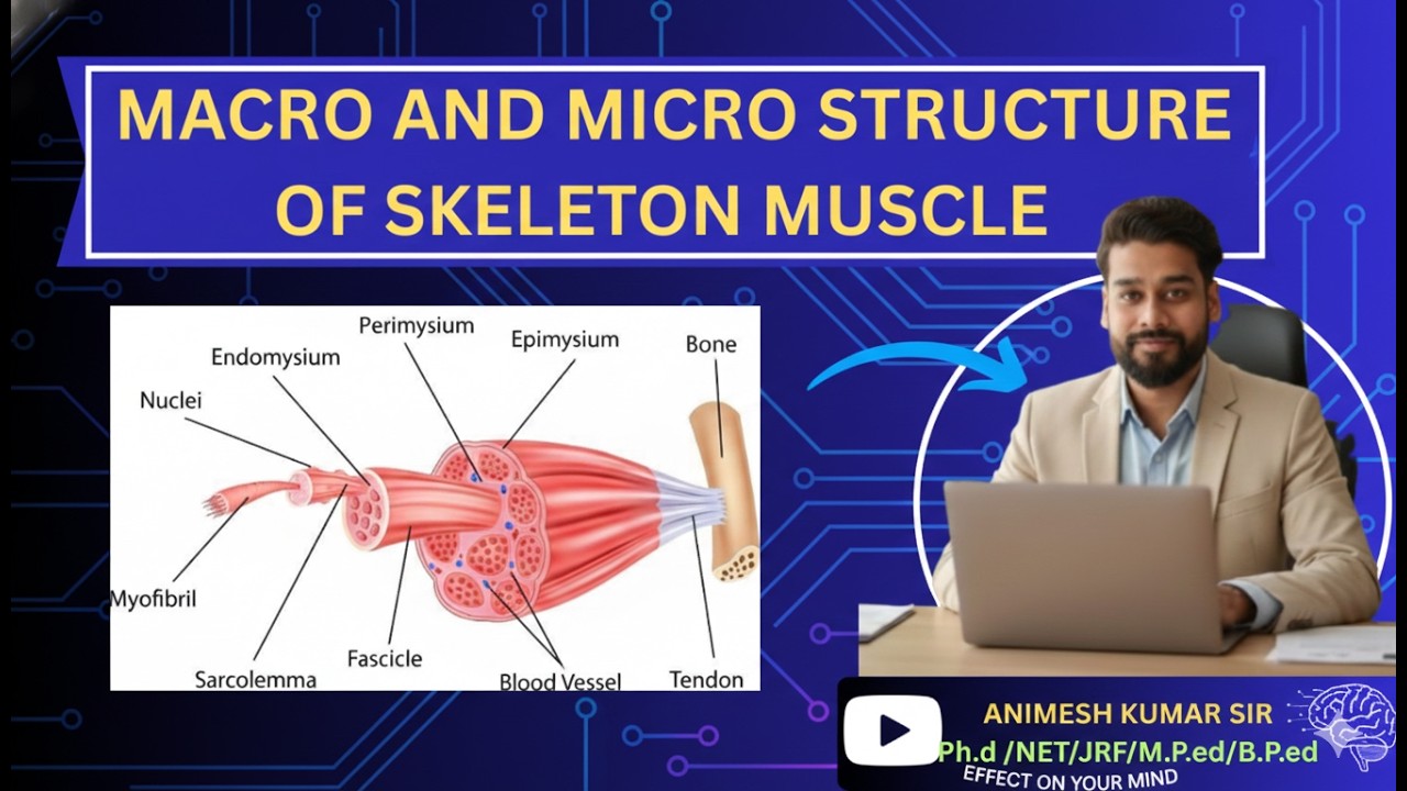 Macro & Micro Structure of Physical Education Explained | UGC NET | BPED | MPED