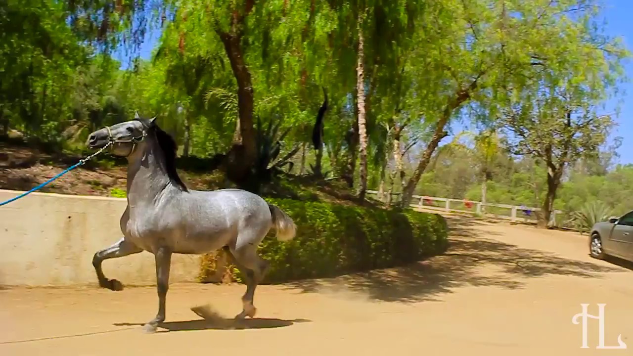 Hacienda Landeros