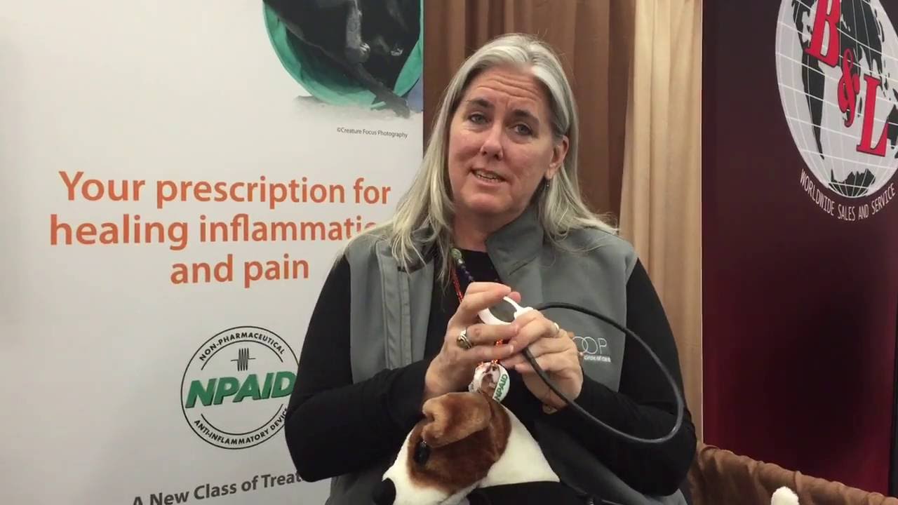 How the Assisi Loop Gives Pet Pain Relief