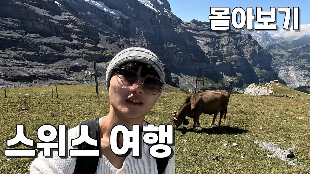 대학생 혼자 3박 4일 스위스 여행 몰아보기