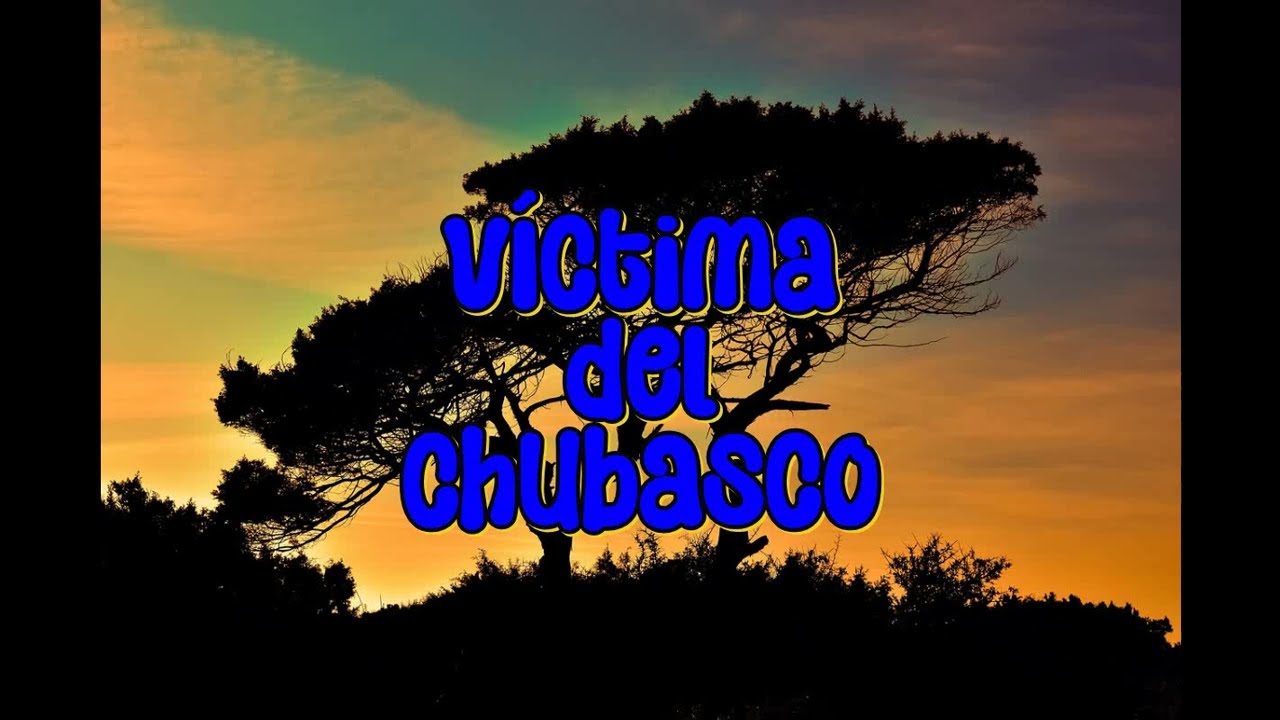 Víctima del chubasco / Daisy Rock Stardust Elite Classic