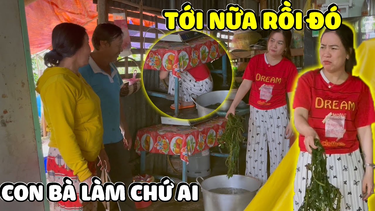 Linh Ế Cạn Lời Chui Gầm Tủ Vì Độ Báo Của Con Dâu Dì Hương Đã Lên Tầm Cao Mới