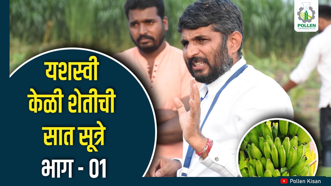 यशस्वी केळी शेतीची सात सूत्रे - शिवारफेरी सोलापूर - भाग ०१ । Pollen Kisan