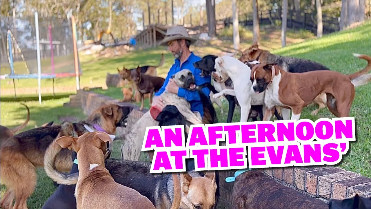An Afternoon at the Evans’