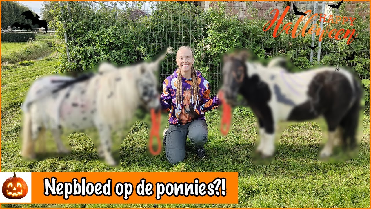 Skittles en Smarties verkleden voor HALLOWEEN! | PaardenpraatTV