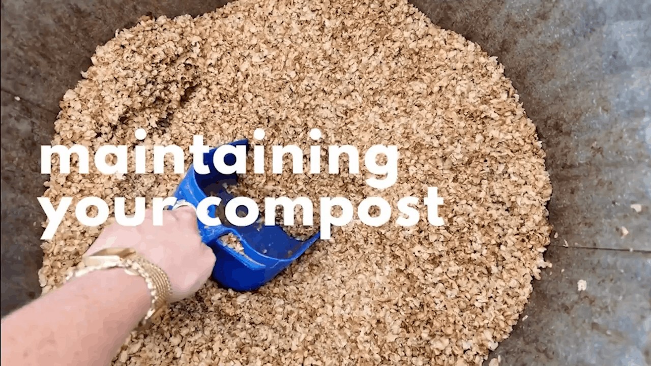 How to Compost: Episode 5