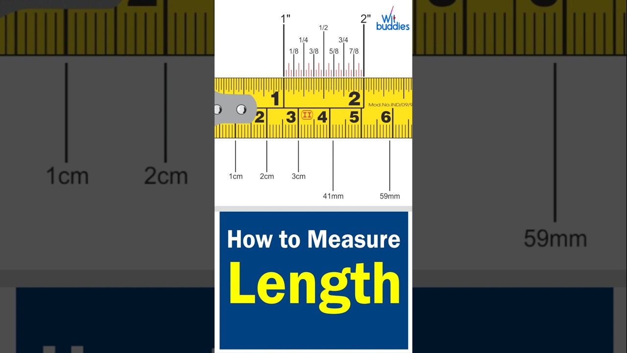 Let&rsquo;s Learn About Measuring Length! | Easy Math for Kids | Wit Buddies
