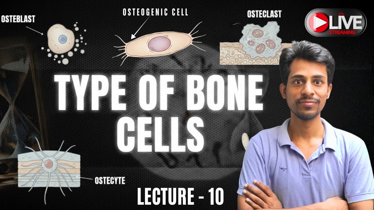 Types of Bone Cells & Composition of Bone in Hindi | Bone Cells Anatomy | Dr Krishna Kumar Kushwaha
