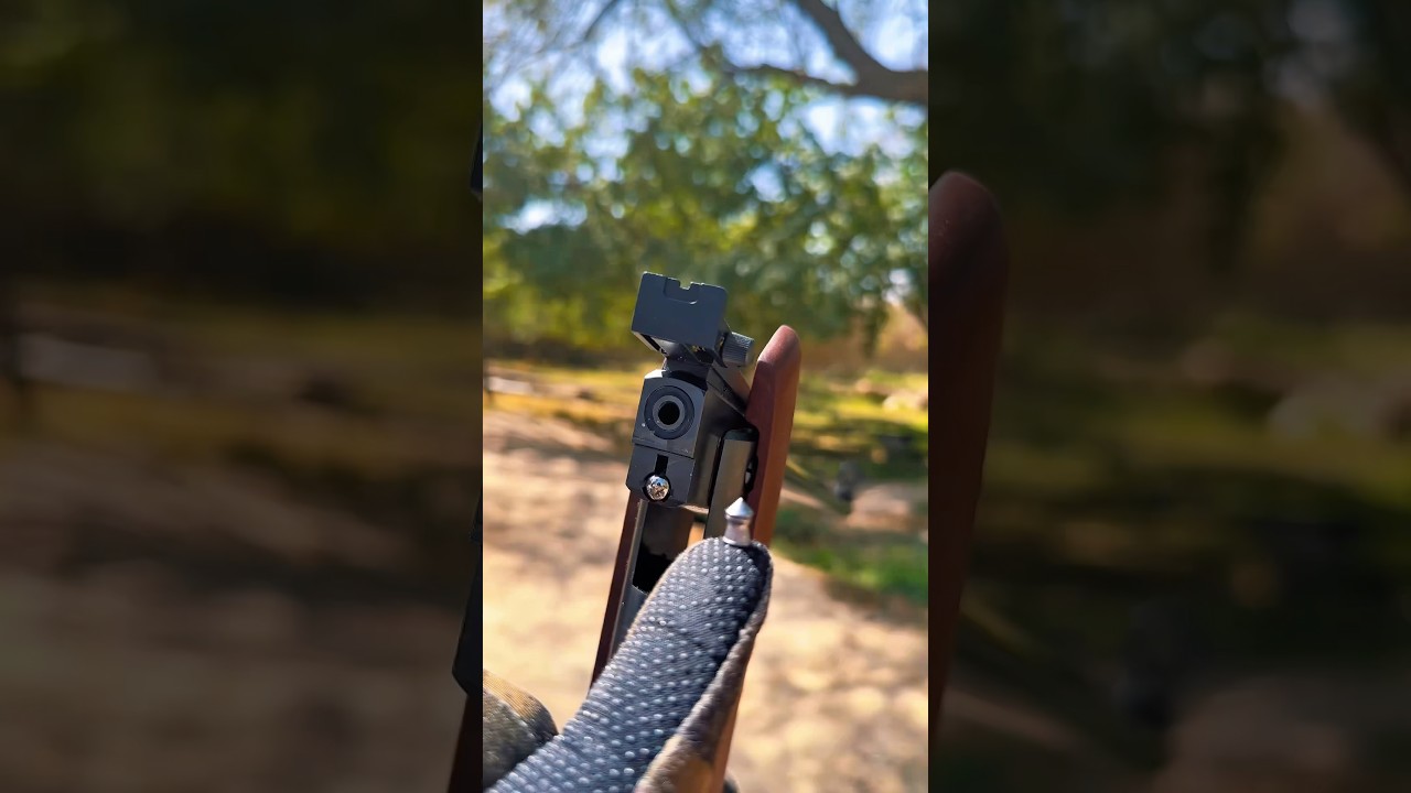 DIANA 350 Magnum &ndash; The Power Behind German Precision 💥#airgun #airgunning