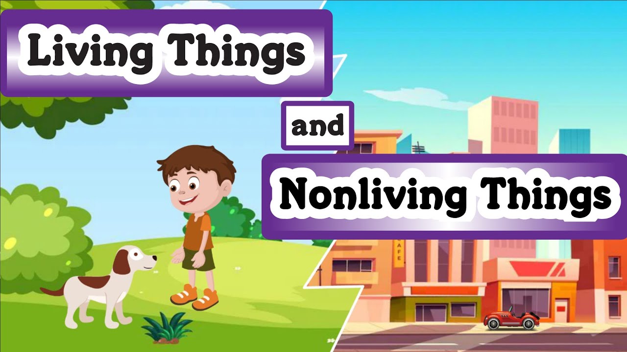 Living and Nonliving Things for Kids | Difference between Living and Nonliving Things