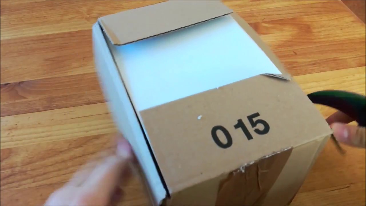 Myants Unboxing | + Neue Ameisen Art
