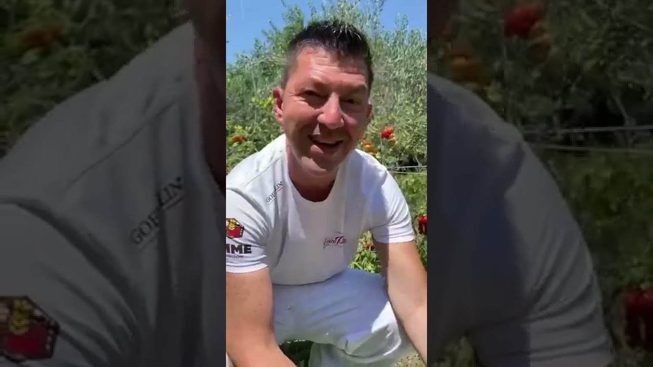 Errico Porzio esaudisce il desiderio di un bambino e va a fare le pizze al suo compleanno