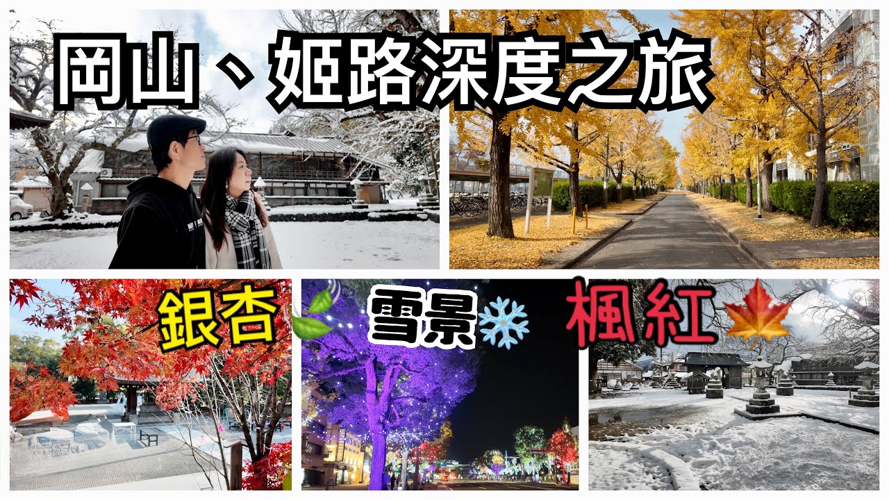 日本岡山/姬路￼自駕、體驗當地祭典、市集￼、朝市/銀杏、雪景、賞楓￼一次滿足