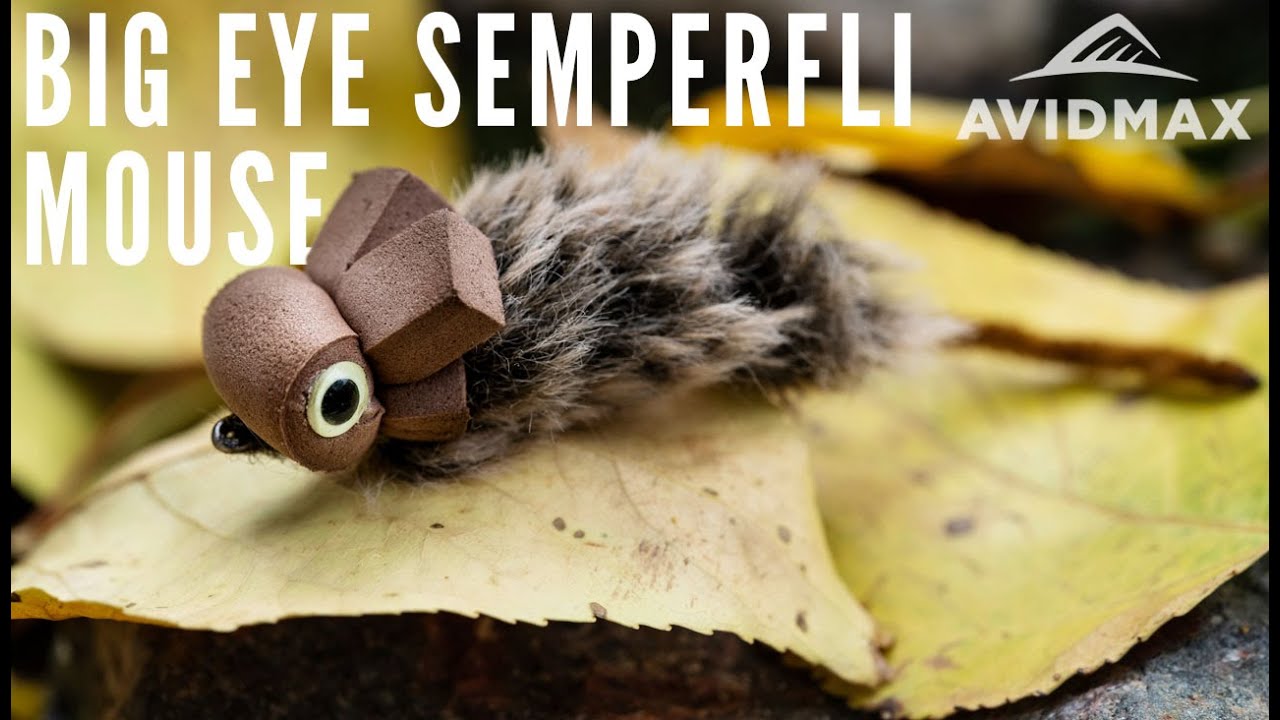 How to Tie - Big Eyed Semperfli Mouse | AvidMax Fly Tying Tuesday Tutorials