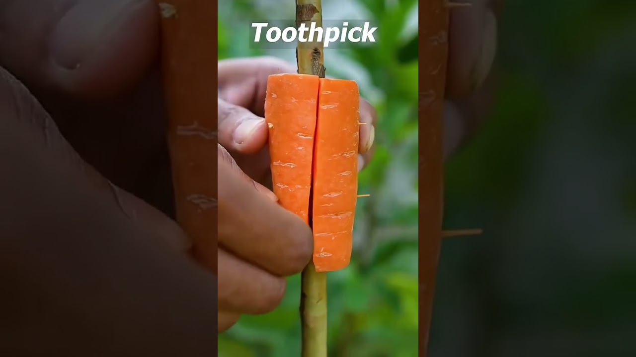 guva grafting #fruit #motivation #trending #viral #nature #subscribe 🥰
