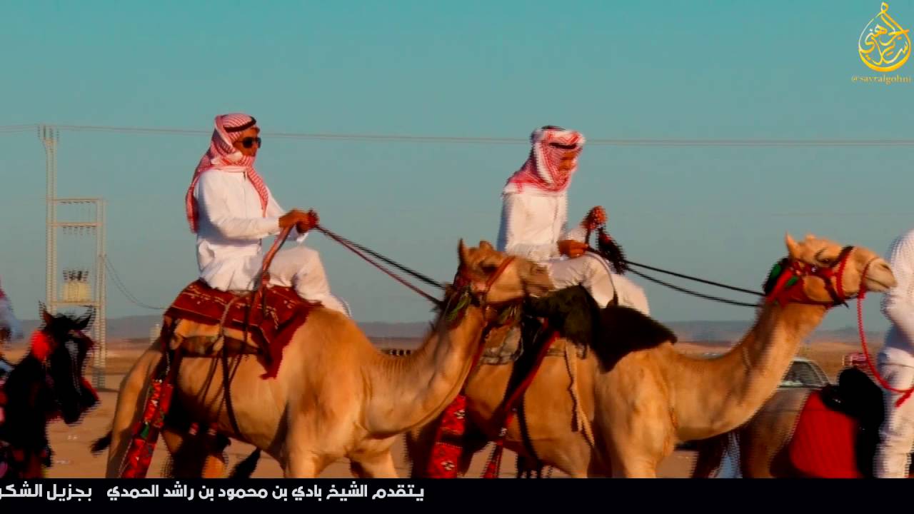 حفل معايدة قبيلة الحمده من جهينه بمحافظة أملج بمناسبة عيد الفطر المبارك 1437