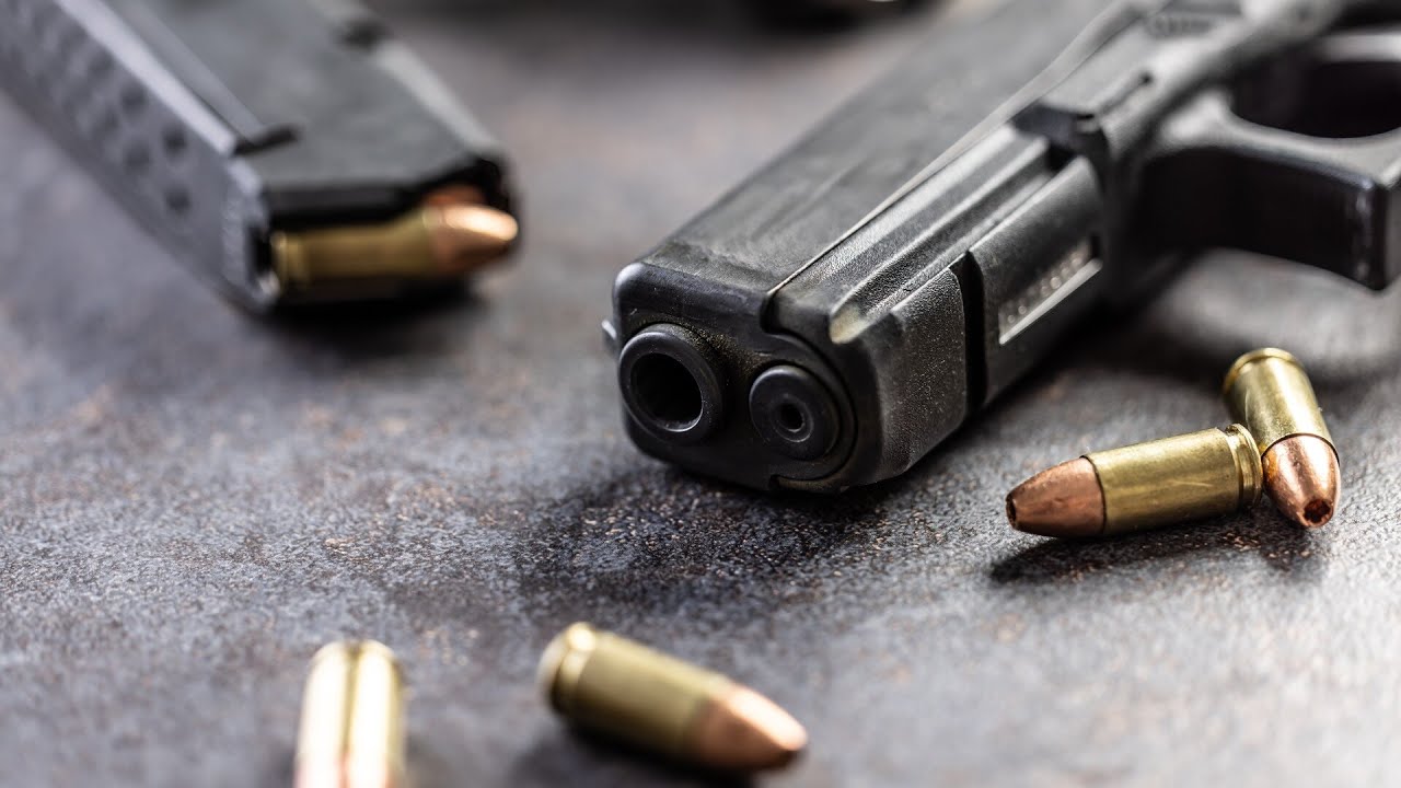 National Party and One Nation wonder if tougher gun laws are ‘needed’ for Australia