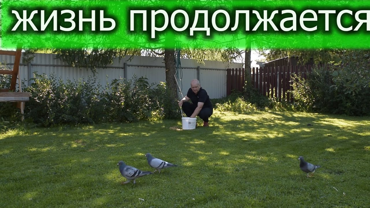 ЖДЕМ,ГОТОВИМСЯ К НОВЫМ ТРЕНИРОВКАМ