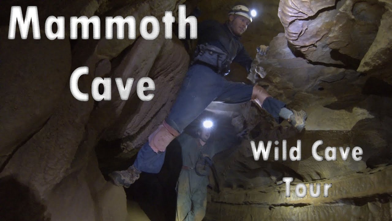 Mammoth Cave: Wild Cave Tour