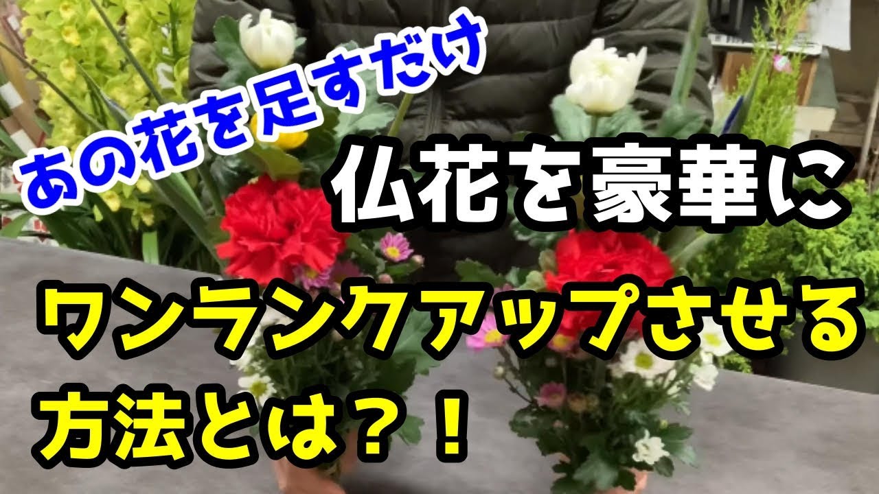 ワンランク上の仏花の作り方！！あの花を足すだけで解決【中級編】お墓参りにも使える