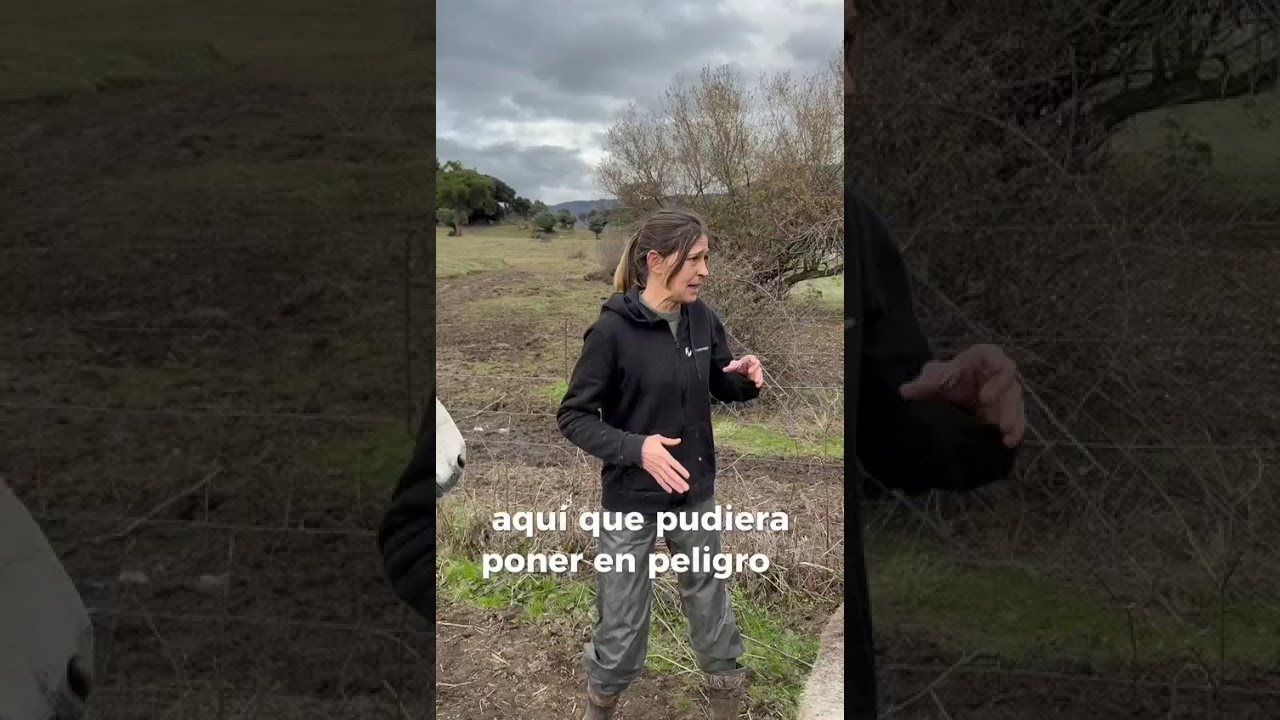 Laura os cuenta en el vídeo la situación actual