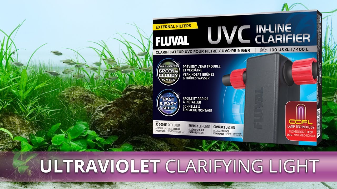 Проточный УФ-очиститель Fluval | Распаковка и установка