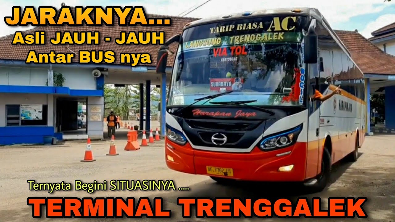 BUS Disini Jamnya JAUH - JAUH!! Terminal TRENGGALEK Sepi Penumpang||Harapan Jaya,BAGONG,Pelita Indah
