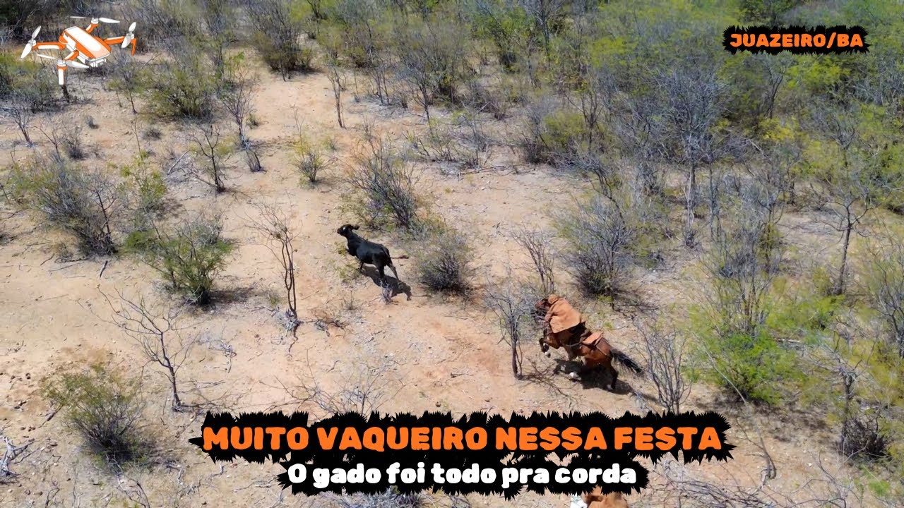 Pega de Boi da Fazenda Rabo Cheio