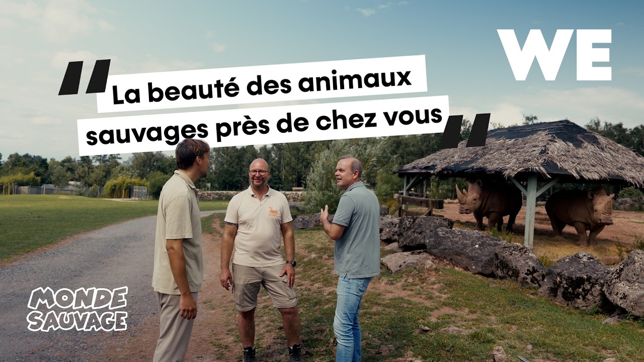 Le Monde Sauvage d'Aywaille : entreprendre dans le secteur animalier