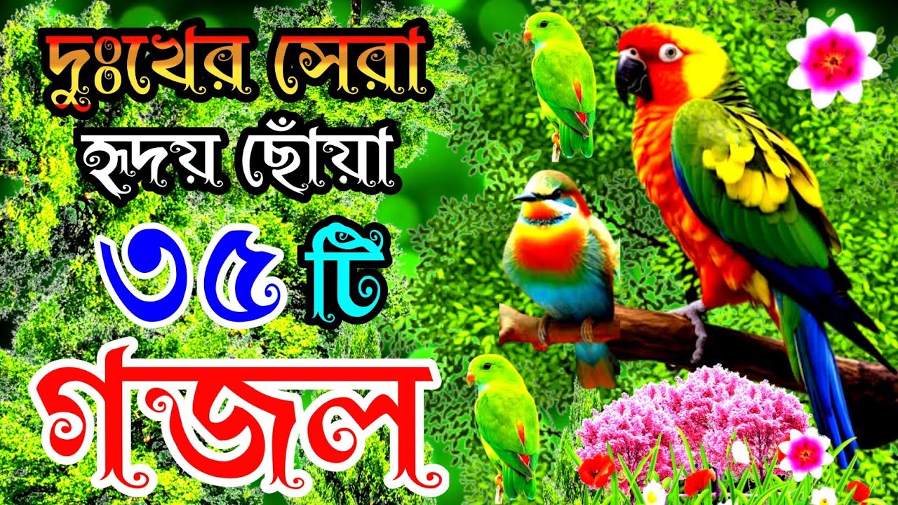 দুঃখের সেরা হৃদয় ছোঁয়া ৩৫টি গজল |বাংলা বাছাইকৃত গজল |Selected Gajal |New Gazal |Best Bangla Gojol 