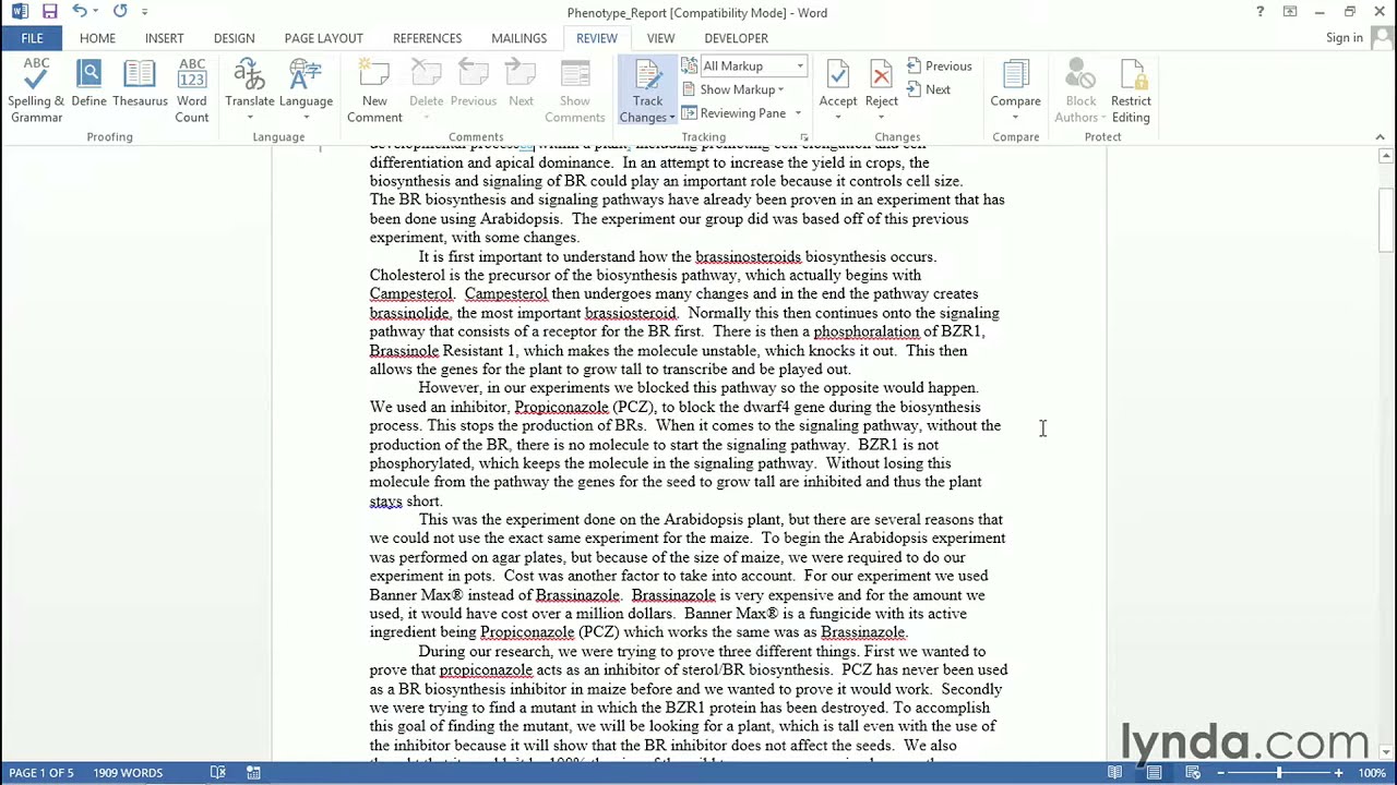 Teaching Tutorial - Grading papers with Track Changes and Comments in Microsoft Office