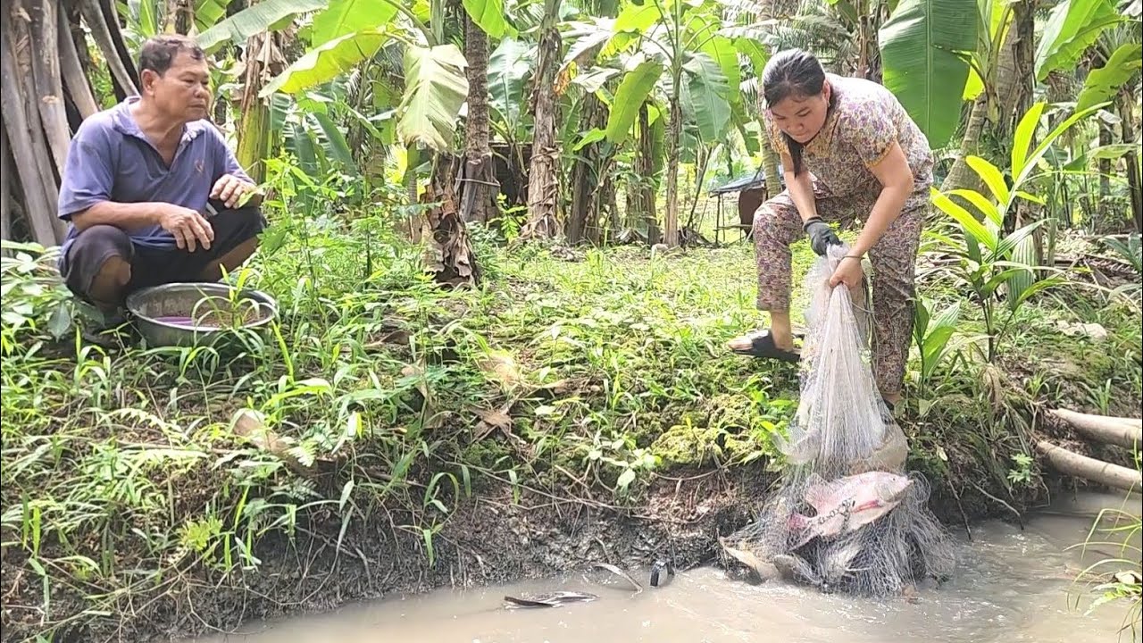 Quá Bất Ngờ Khi Con Dâu Thử Sức Quăng Cái Chài 8 kg Không Ngờ Cá Dính Cỡ Này | TKQ & Family T2147