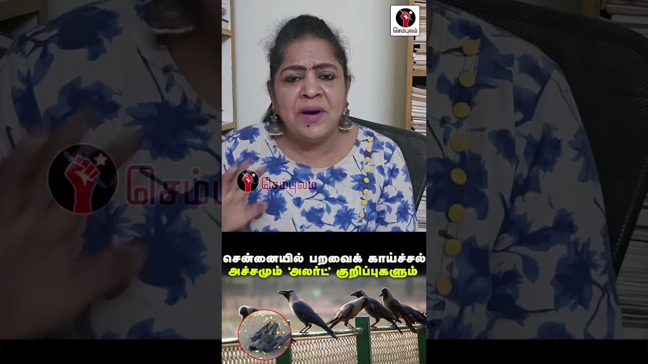 சென்னையை உலுக்கப்போகும் பறவை காய்ச்சல்  | Sundaravalli Latest Speech | Sembulam