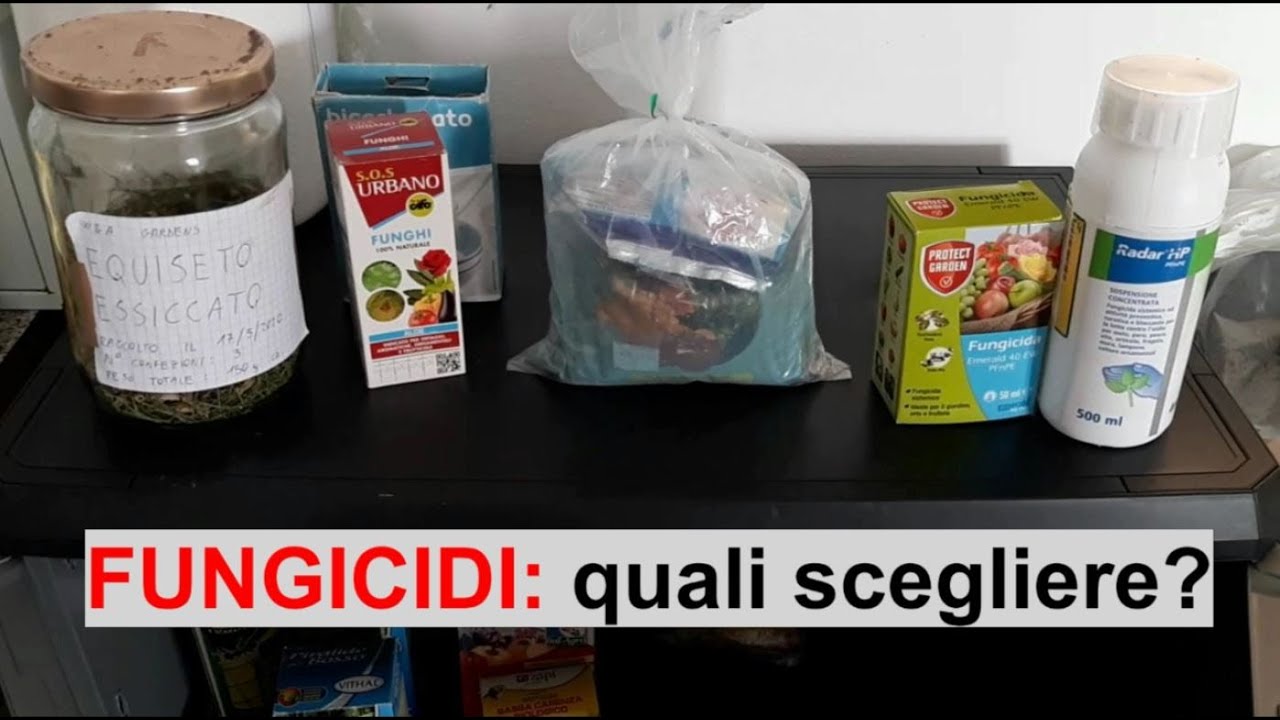 FUNGICIDI: quali scegliere? - Tipologie, funzioni, usi biologici - W&A Gardens: orto e giardino