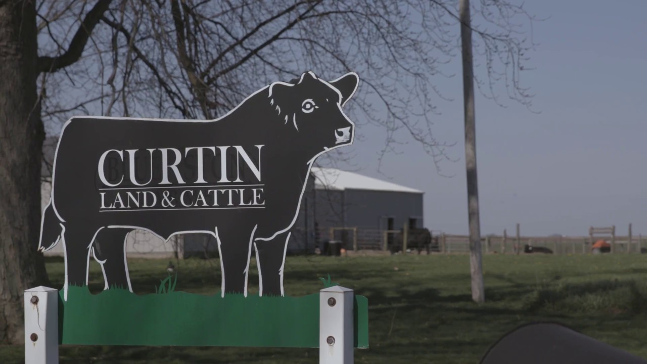 Curtin Land & Cattle
