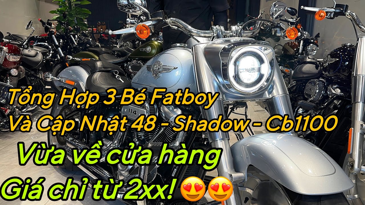 Tổng hợp 3 bé Fatboy và cập nhật các xe 48/Shadow/Cb1100 vừa nhập đội siêu chỉ từ 2XX mời anh em 😍🏍️