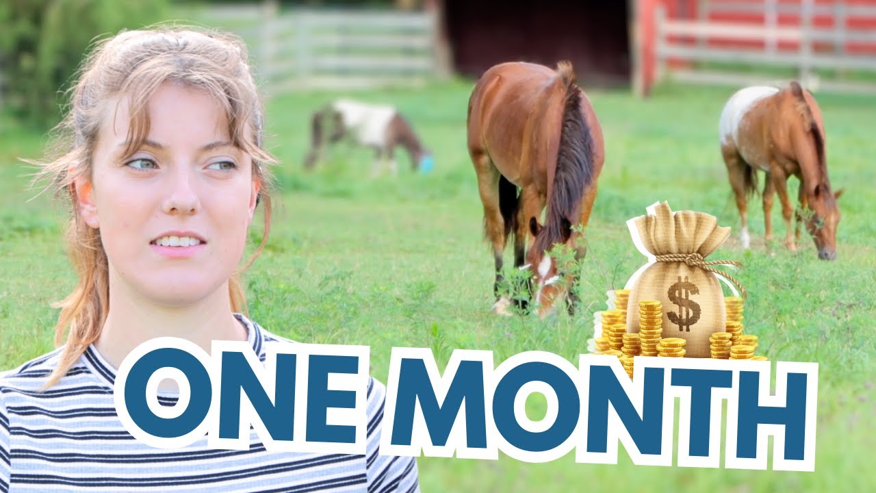 My Horse Expenses for One Month
