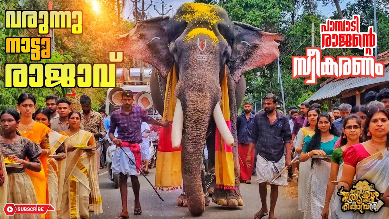 ചെമ്മണൂർ മണ്ണിൽ ഇറങ്ങിയ ഗജരാജഗന്ധർവ്വൻ | പാമ്പാടി രാജന് കിട്ടിയ രാജാകീയ വരവേൽപ്പ് | pambadirajan 