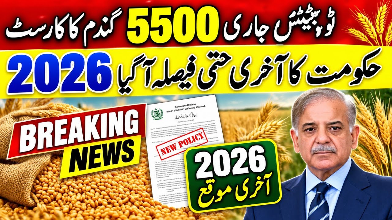 Today Wheat price in punjab//2026گندم کے ریٹ لسٹ/munji makki till sarso/Galla mandi rate today