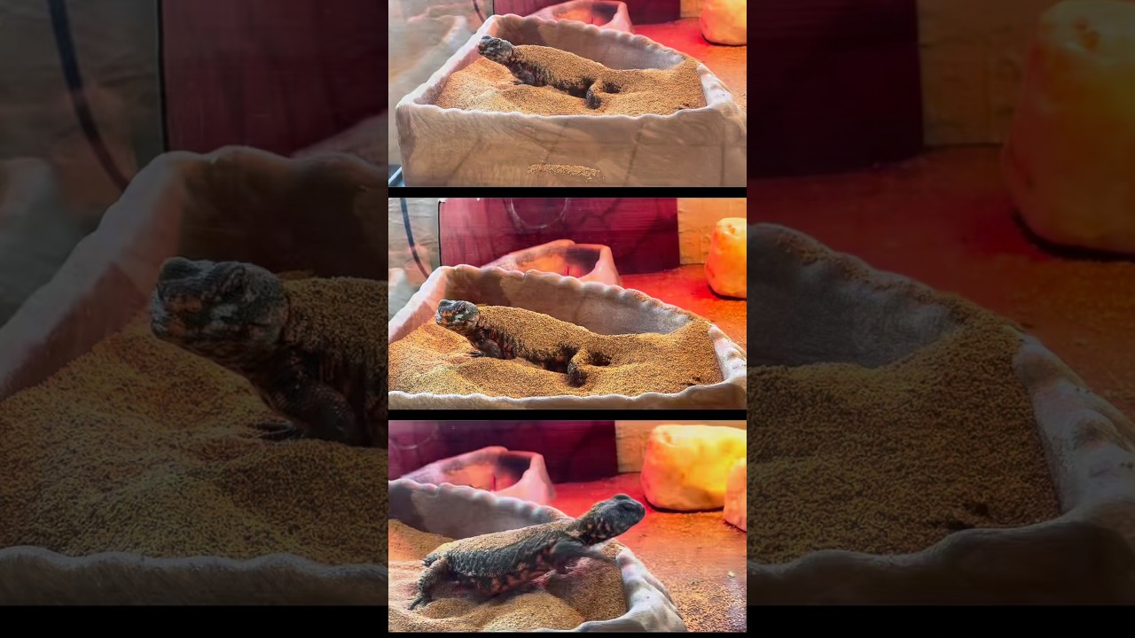 Mr. Sandman⏳ Walter White trying out sand options  