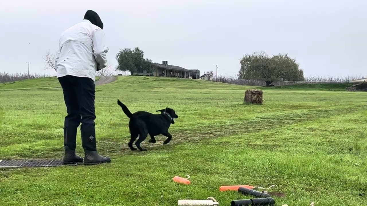 Sawyer- Diversion Drill Day 2