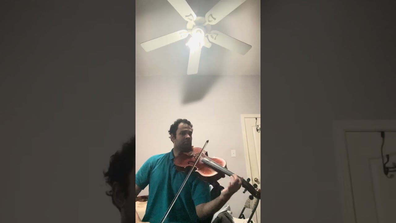 Can You Feel the Love Tonight - Elton John (viola cover)