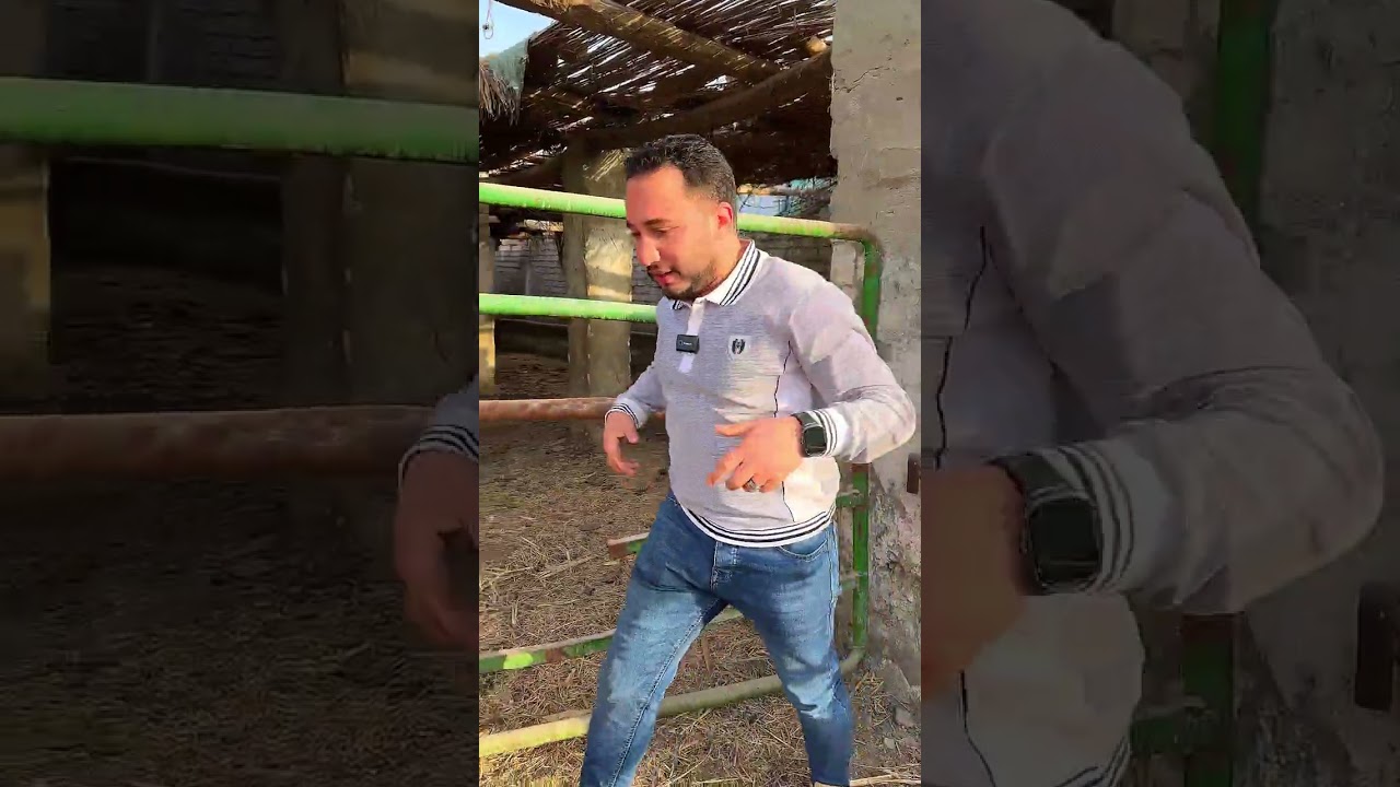 اتفرجت علي مزرعة 4 فدادين للبيع معاهم عنبر مواشي بسعر خيال