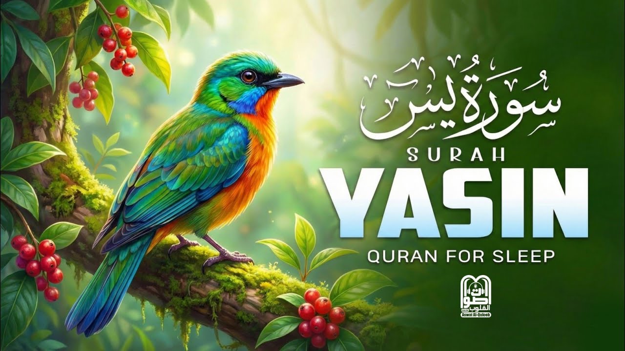 Surah Yaseen (سورة يس) | Heart Touching Quran Recitation for Peace, Blessings | #suratyasin