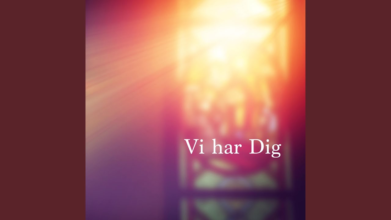 Vi har Dig